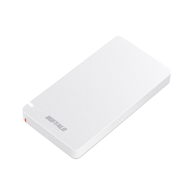 《整備済・再生品》SSD-PGM1.0U3-WC(保証1年)